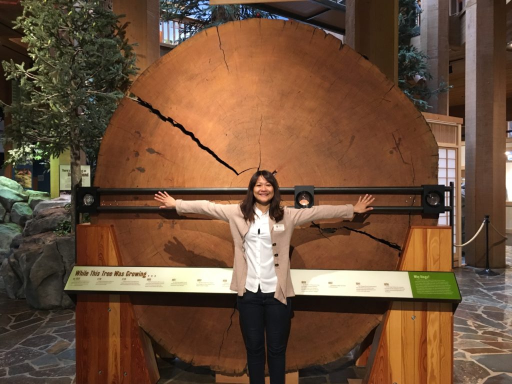 A woman poses in front of a tree cross cut