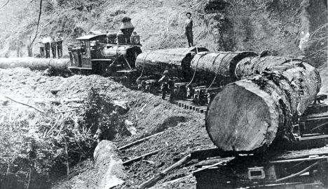 Trains pulling logs on the 1800s railroad.